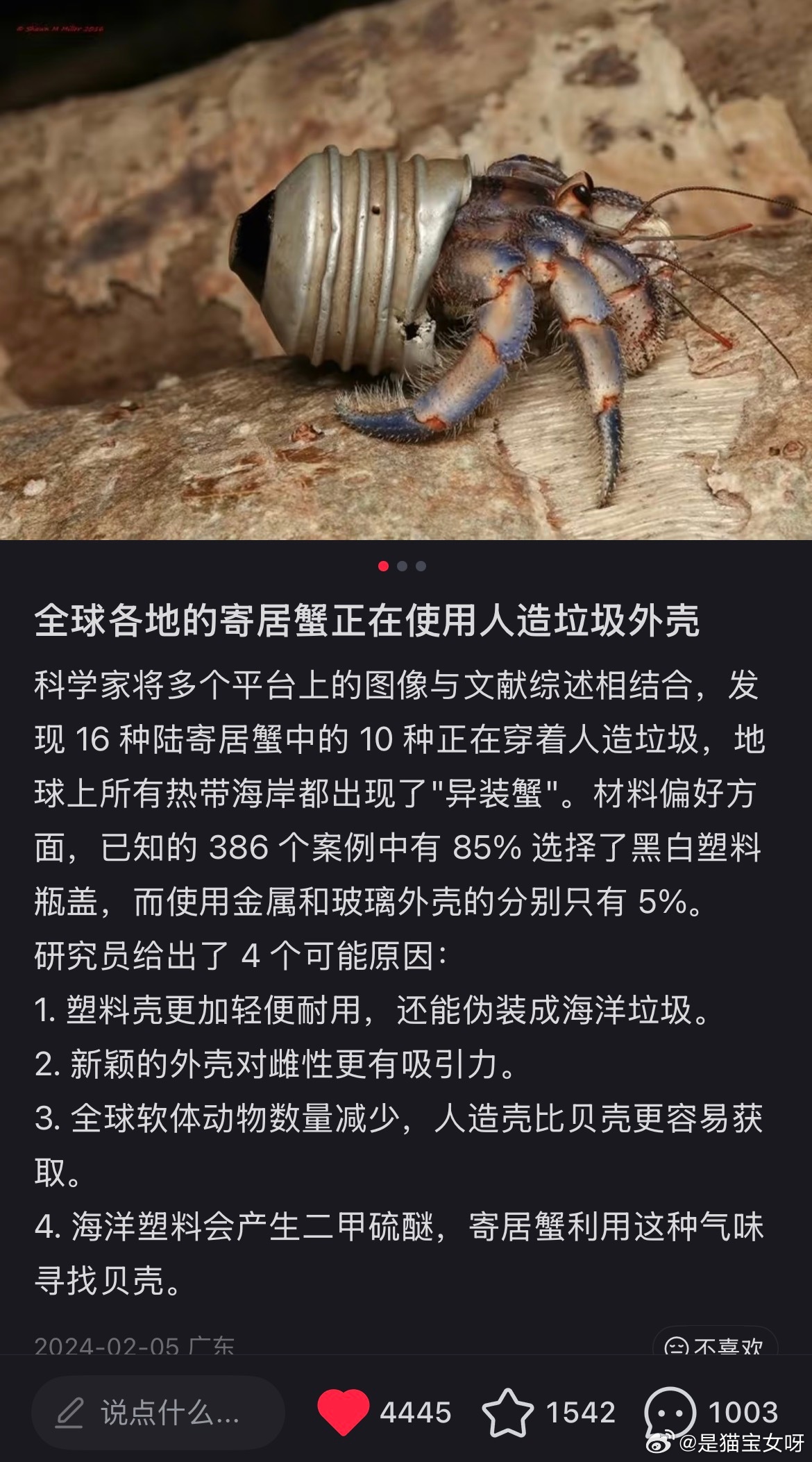 每天分享一个令人心碎的海底故事[捂嘴哭]  ​​​