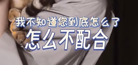 实用表情包➕1