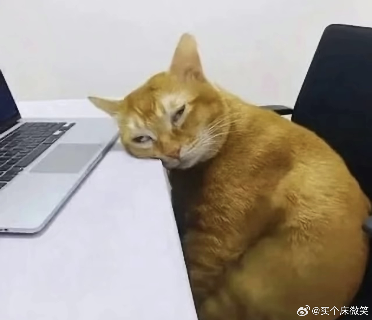 说真的好久没看任何🔞内容，已绝育 ​​​