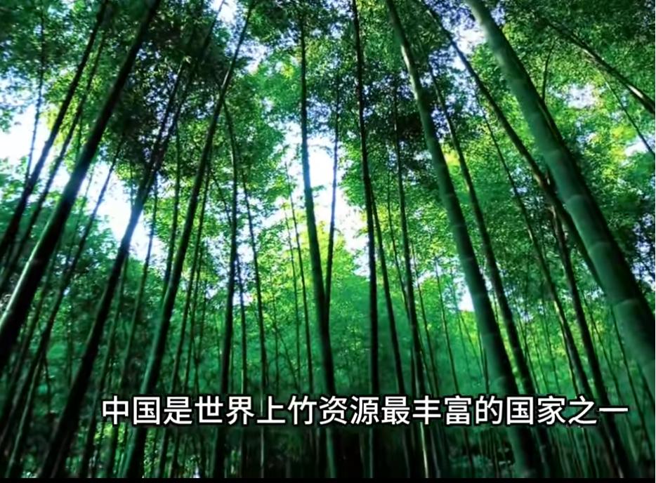 竹子飞上天.！世界上第一架采用竹基复合材料机身的固定翼无人机在中国试飞成功！↓