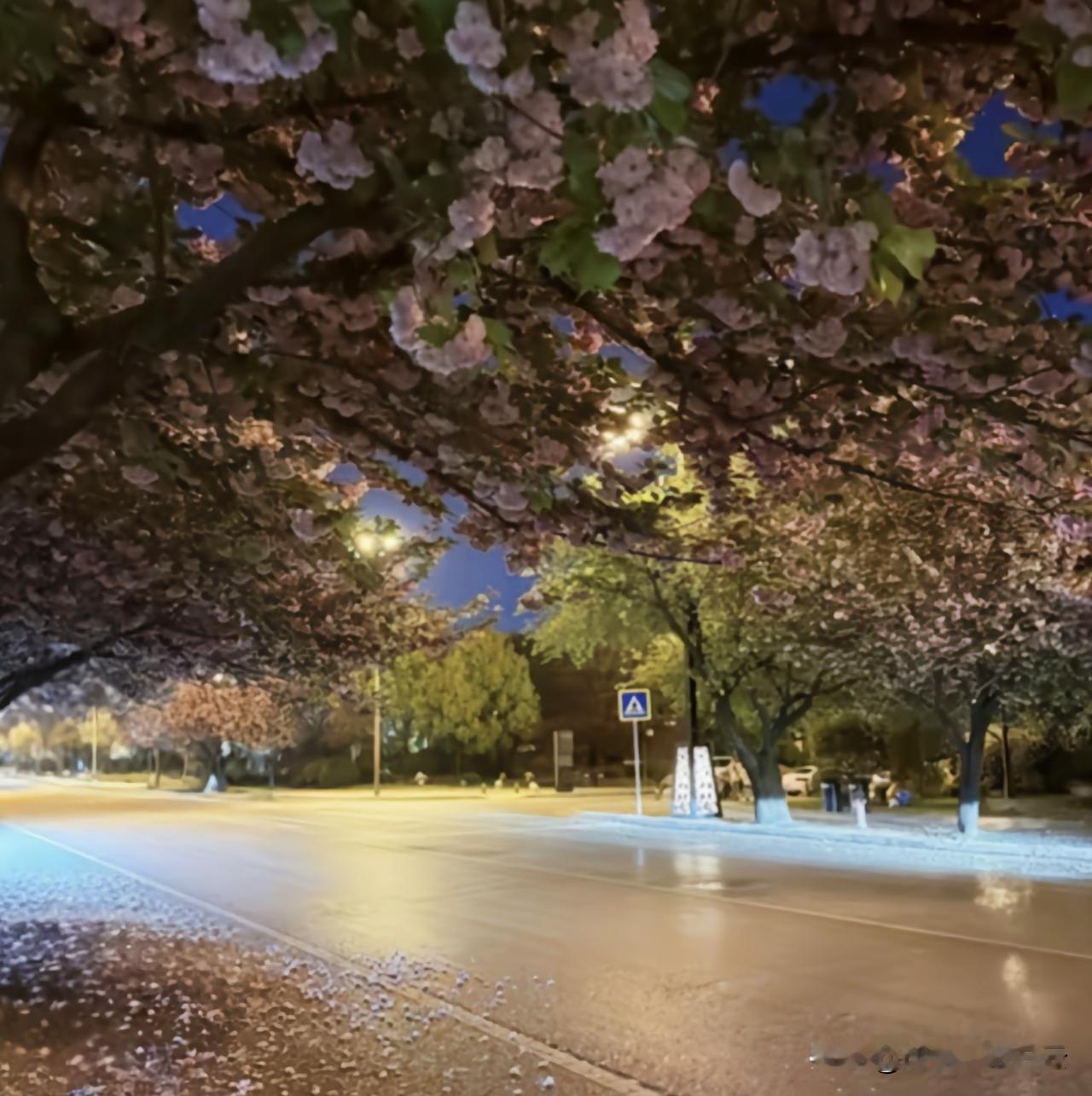 风轻轻暖暖，
吹过四月巷口；
长街上，
偶遇花开的春天。

满街都是烟火气，突然
