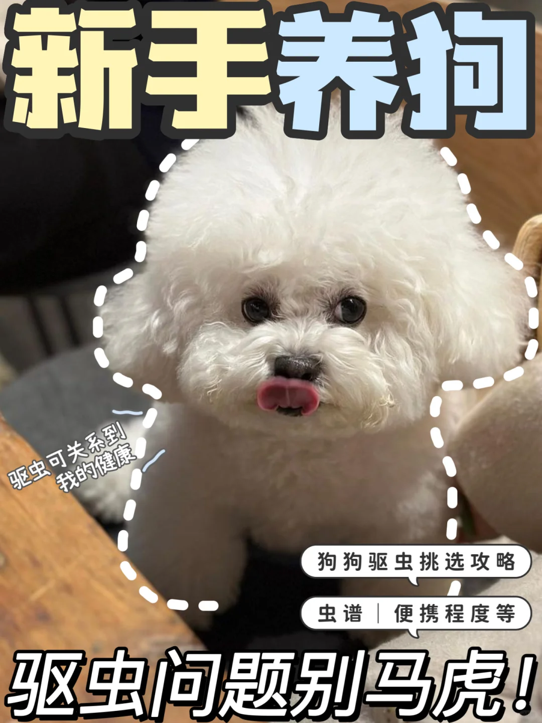 狗狗驱虫一定要做！！618驱虫囤货清单🧾
