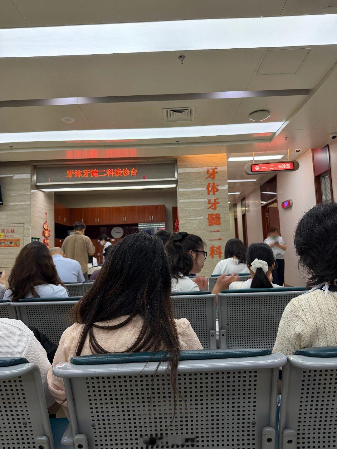 每周都有一天不是在治牙就是在治牙的路上 没完没了了