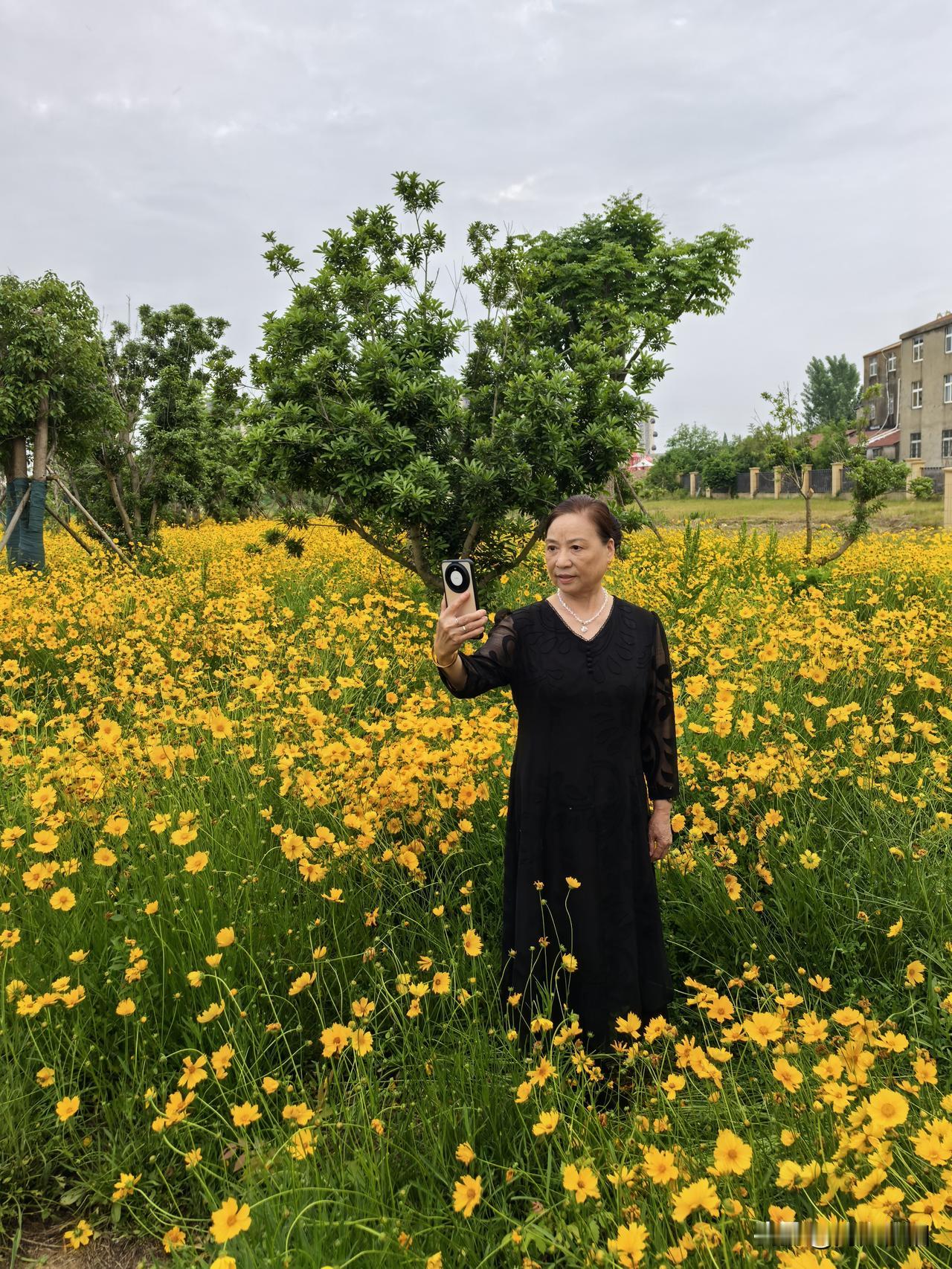 《鹧鸪天·养心延年》
 
抬起头来挺起胸，
流年岁岁自从容。
心宽常把欢情守，