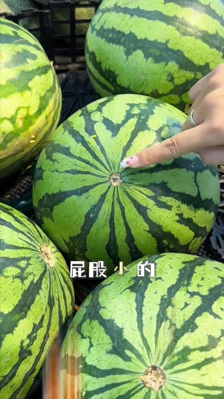 西瓜甜不甜就看这三样：把子弯的甜，把子直的不甜，纹路宽的甜，纹路窄的不甜，屁股小