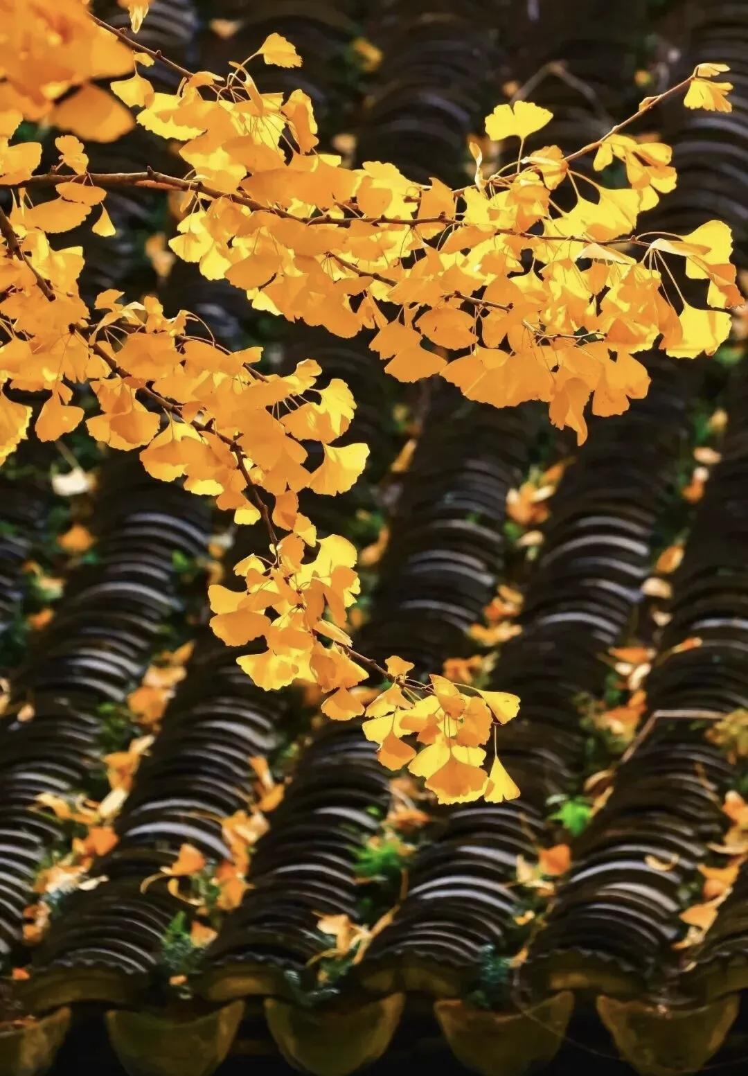 【我们都在借来的时间里，经营着无法重播的人生】
        人生就像一场无法