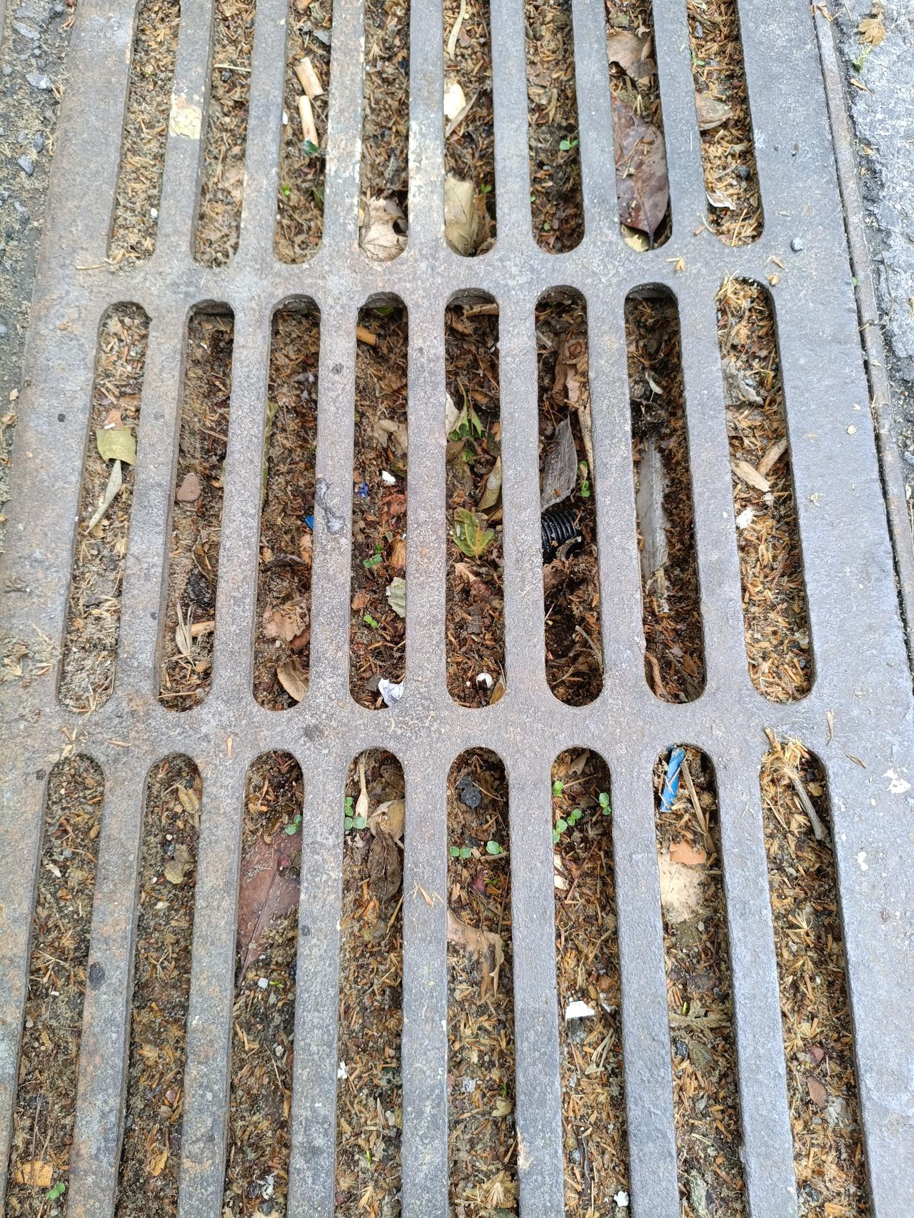 雨季就要来了，青岛虽然是海滨城市，但每年也总有那么几场大雨，短时间内马路积水、地