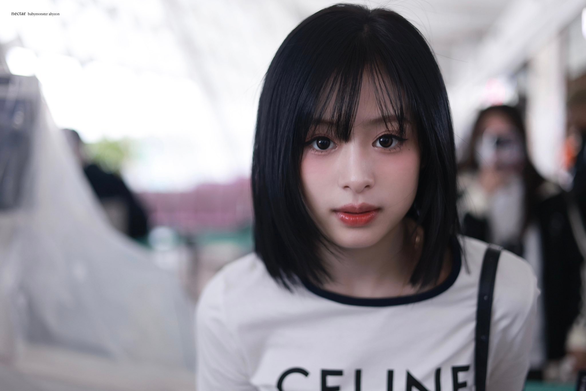 猫咪闯入人类的镜头jpg.🐱📷 ​​​
