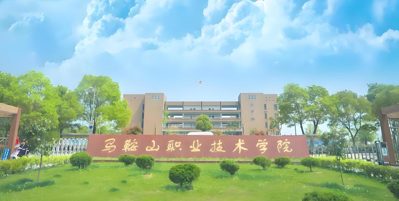 张华明是安徽省马鞍山技师学院教务处的工作人员，在网上看到关于他的消息，让我百思不