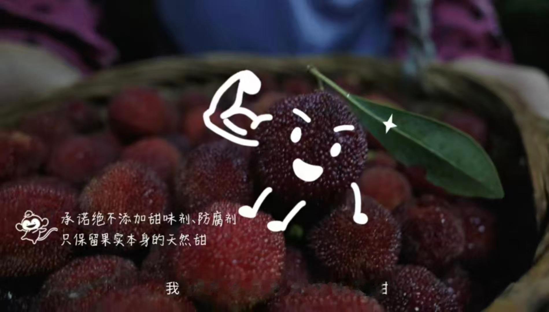 在江浙沪如果没人送你杨梅刷到这支故事感满满的TVC，一眼就看到百果园专属猴子标识
