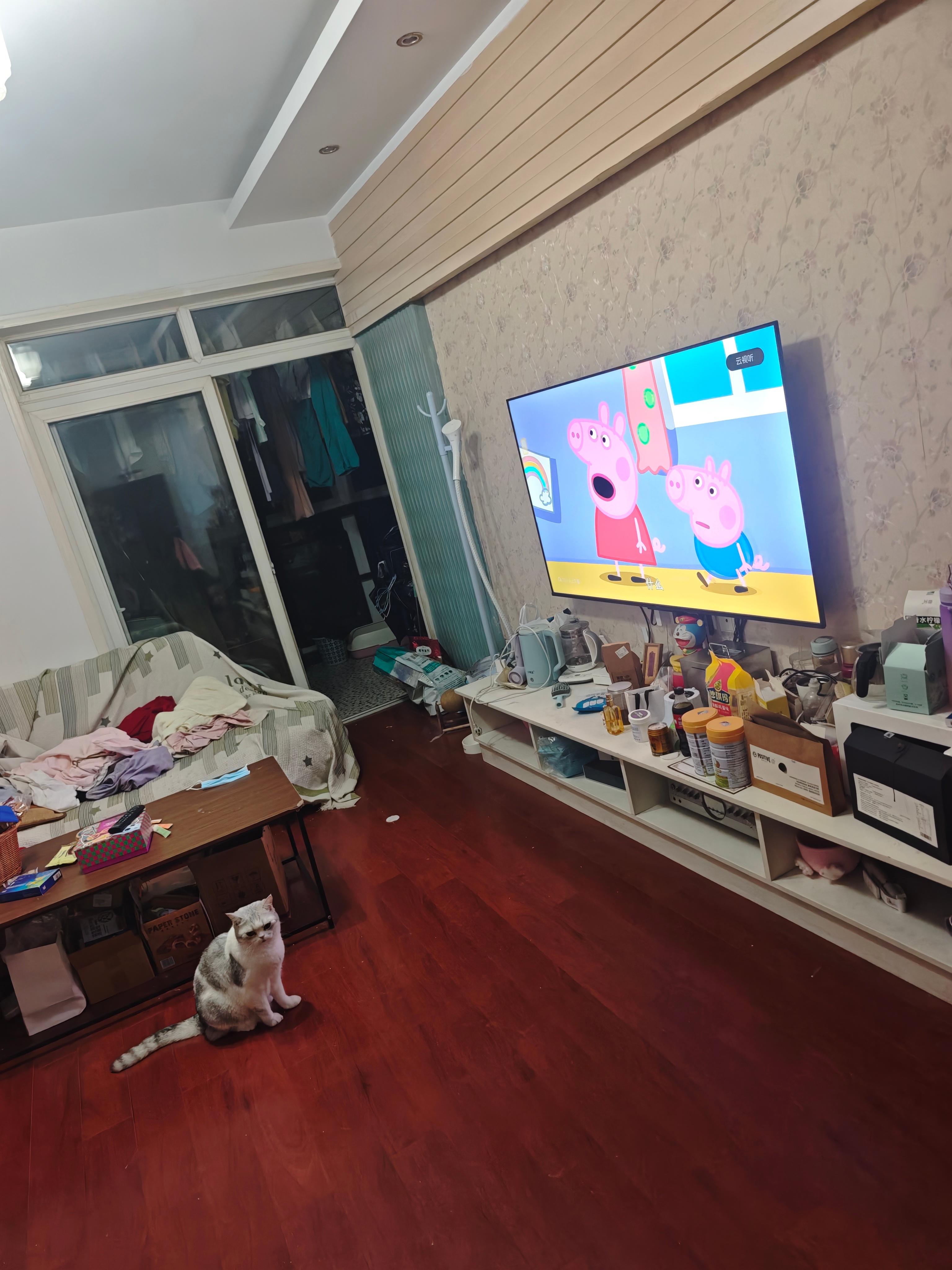 微博会员成长津贴[超话] 小金已经给晚上的自己主动在门厅找好睡觉的位置了哈哈哈哈