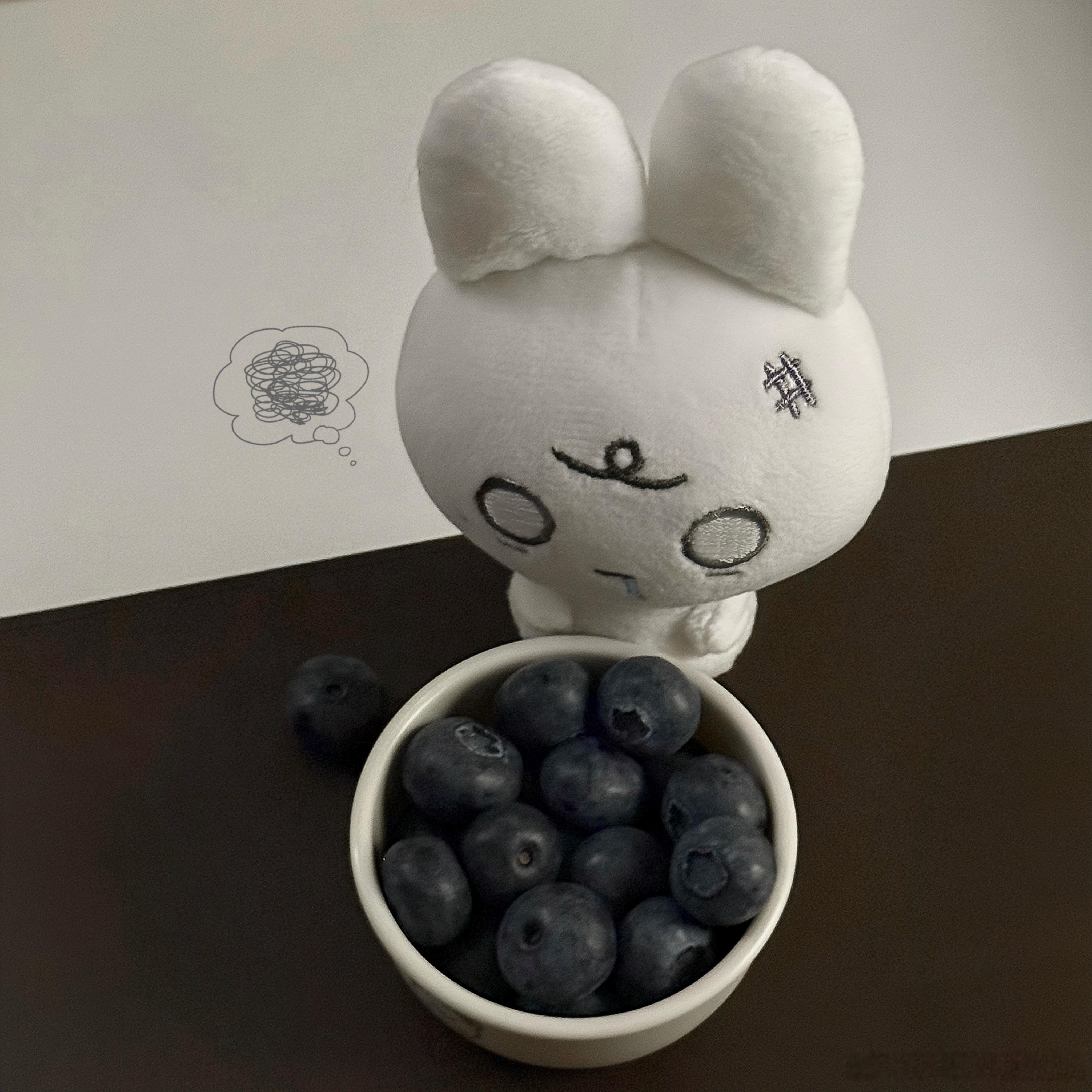 好想啃一口这个呆呆兔 