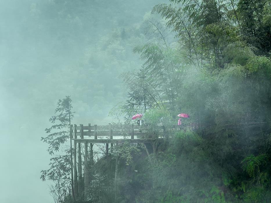 一句话记录春日心情
繁花未消，绿意愈浓，春深如海，温柔以对。漫步春日小径，粉色樱