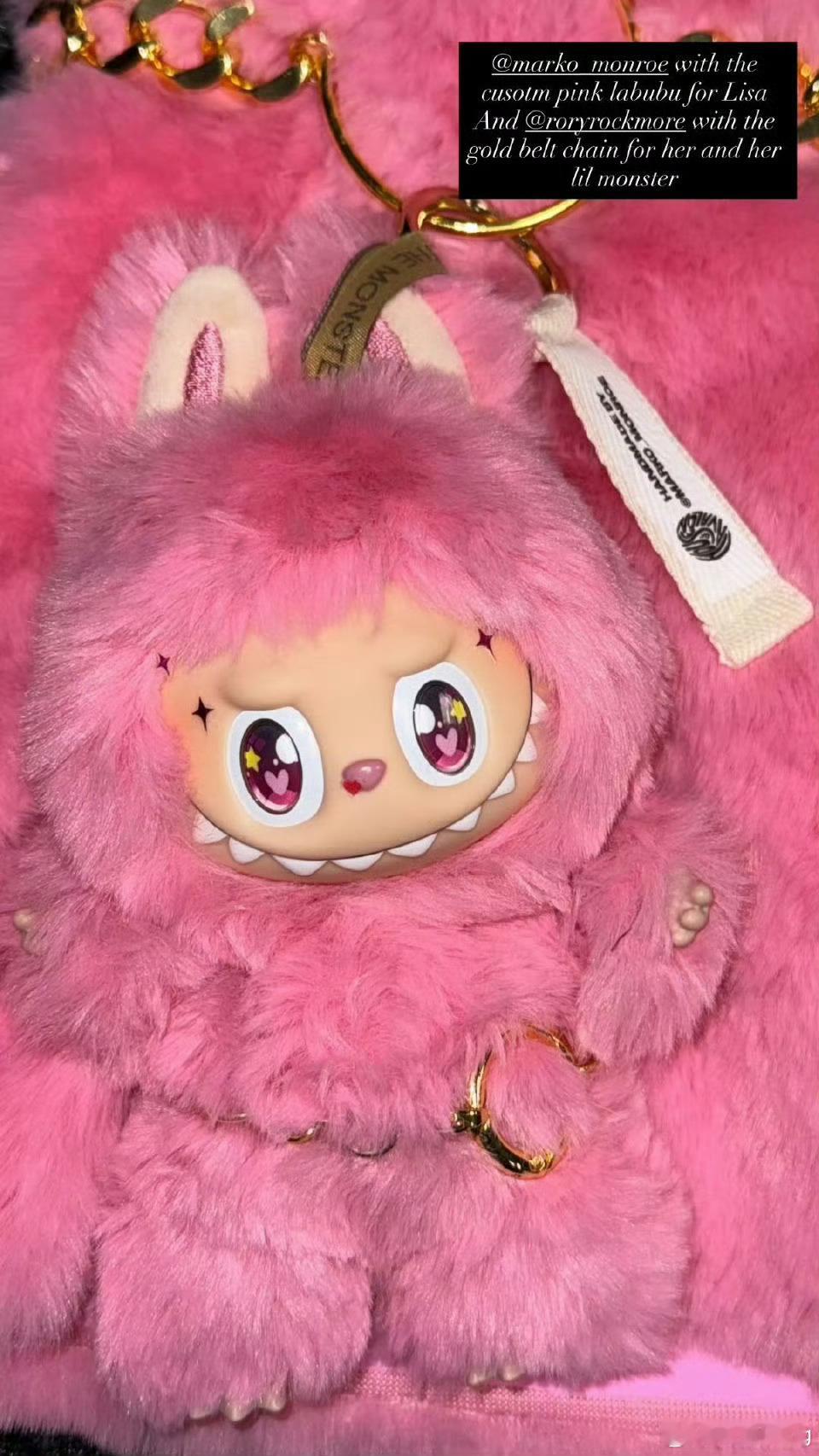 Lisa定制labubu就想问Lisa这个Labubu是私人定制的吗？是泡泡玛特