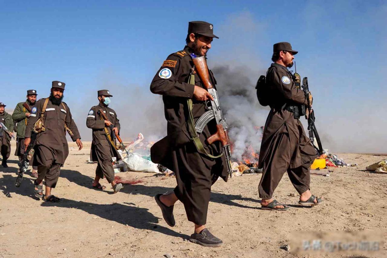 重磅！特朗普政府向塔利班汇款4500万美元，共和党集体震怒！
美国国务院突然给阿