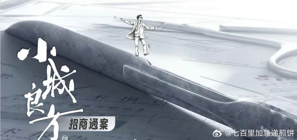 爱奇艺的医疗剧《小城良方》主演：肖战、倪大红、姜妍导演：张晓波《三十而已》编剧：