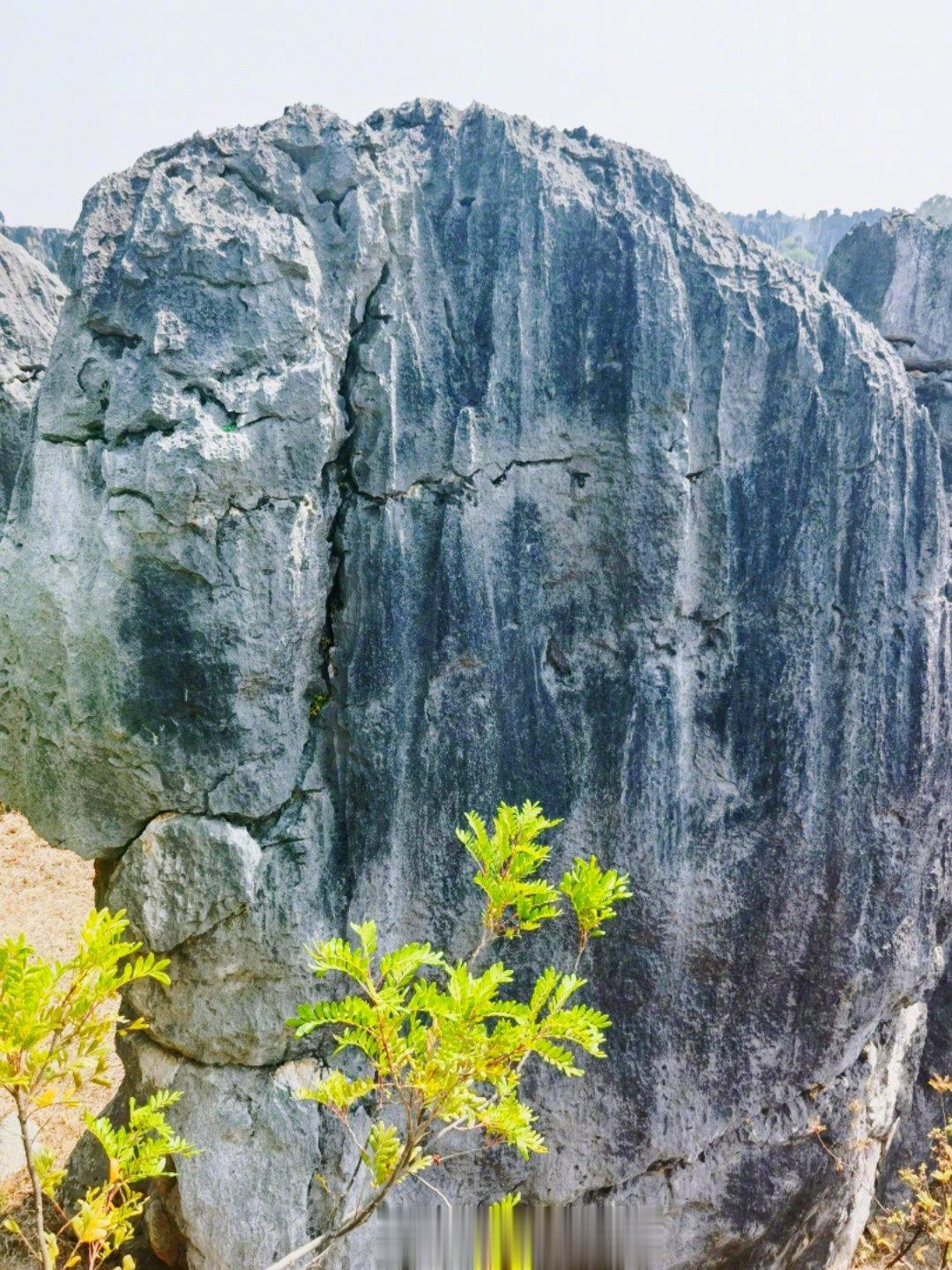 昆明市石林风景区位于彝族自治县境内，范围达350平方公里。约3亿年前，石林风景区