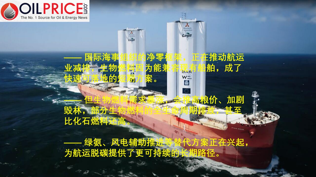 航运脱碳：生物燃料不是解药，风电辅助才是长期方向？

去年，国际海事组织（IMO