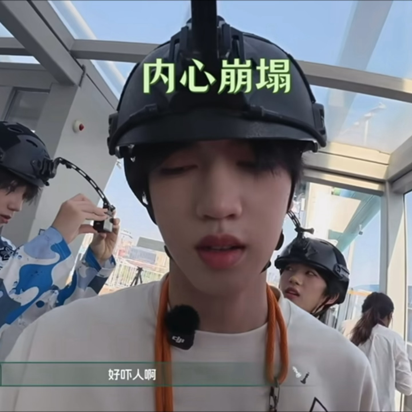 你看你们又欺负呱 