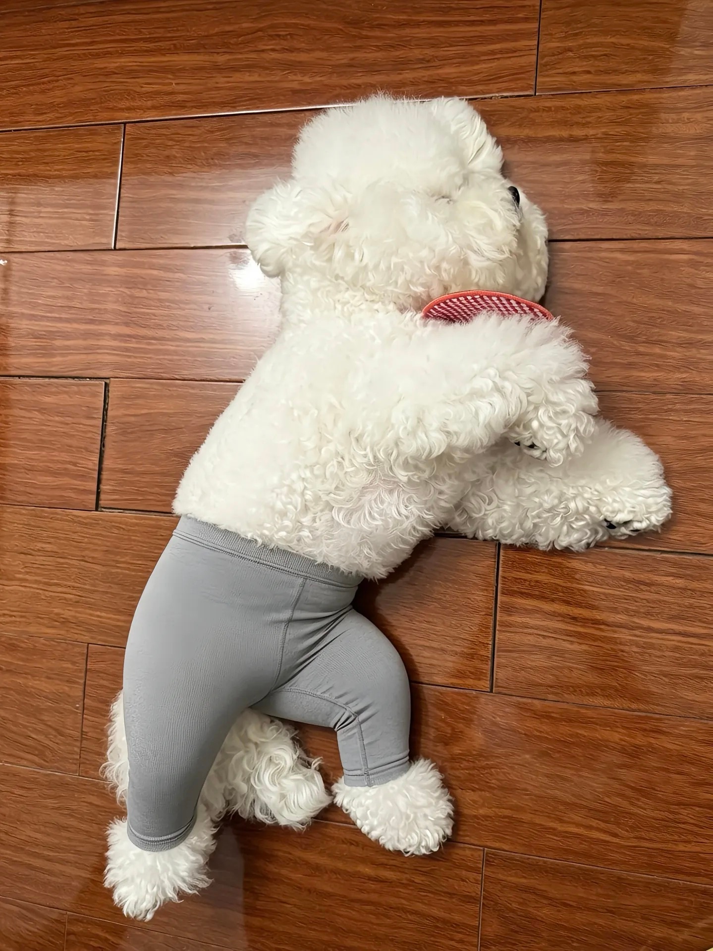 粉丝投稿: 单身久了，看啥都眉清目秀的