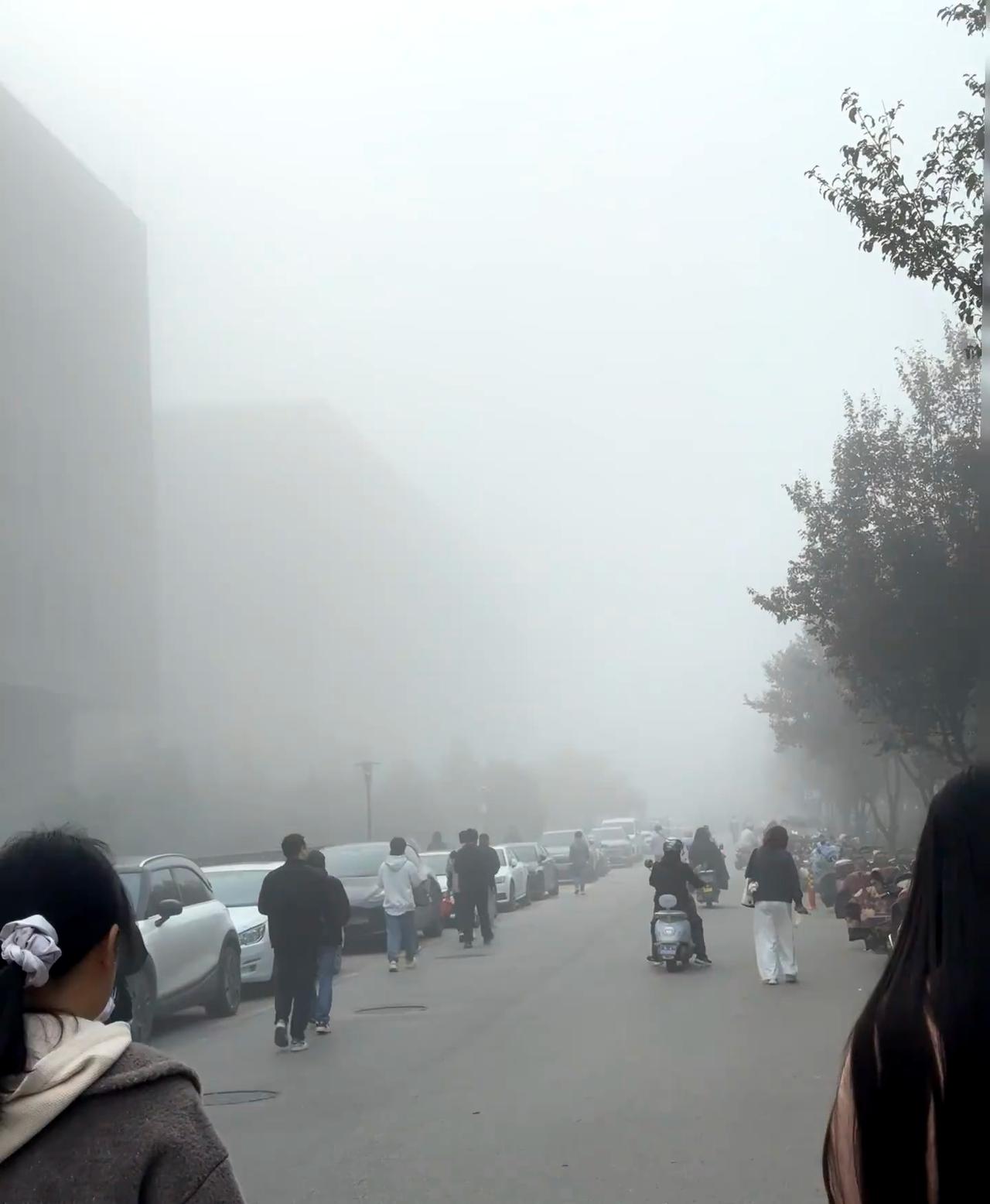 西安今天这是咋了。

西安今年不出去都能体验了好几个地方的特有天气，春天沙尘暴，