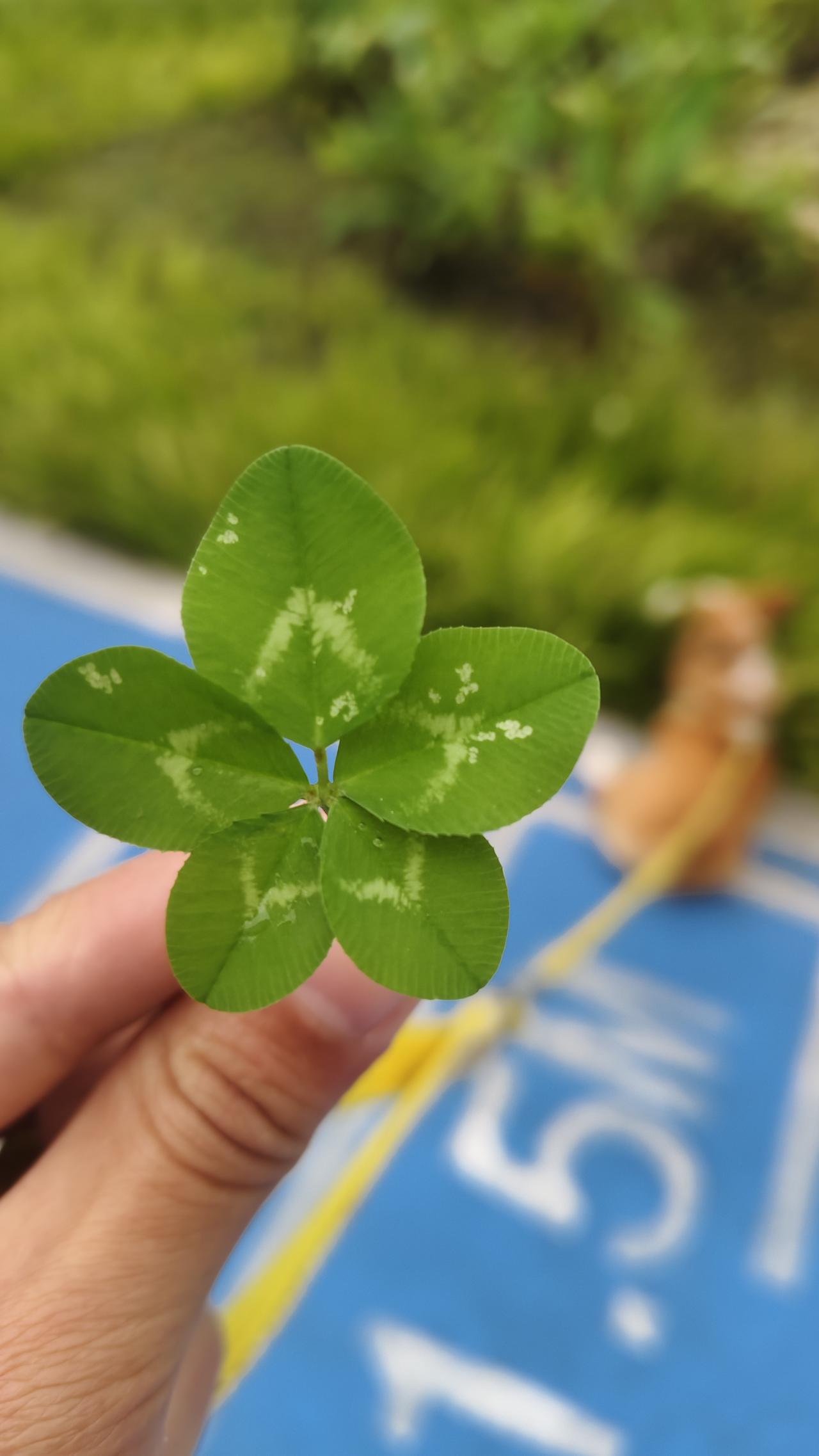 人这一辈子
最靠谱的安全感从来不是别人给的
而是自己挣出来的
 
不是拜金
是成