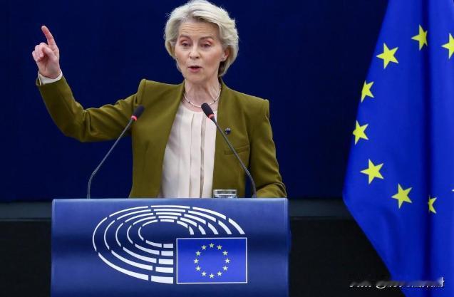 抢中国一个安世还不够？欧盟主席盯上了中国又一优势产业，宣称欧洲“重大商业机遇”到