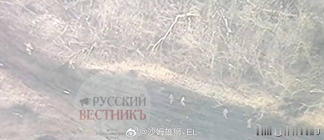 俄军无人机拍摄到一些乌军士兵试图徒步穿越田野撤出阿瓦迪夫卡市