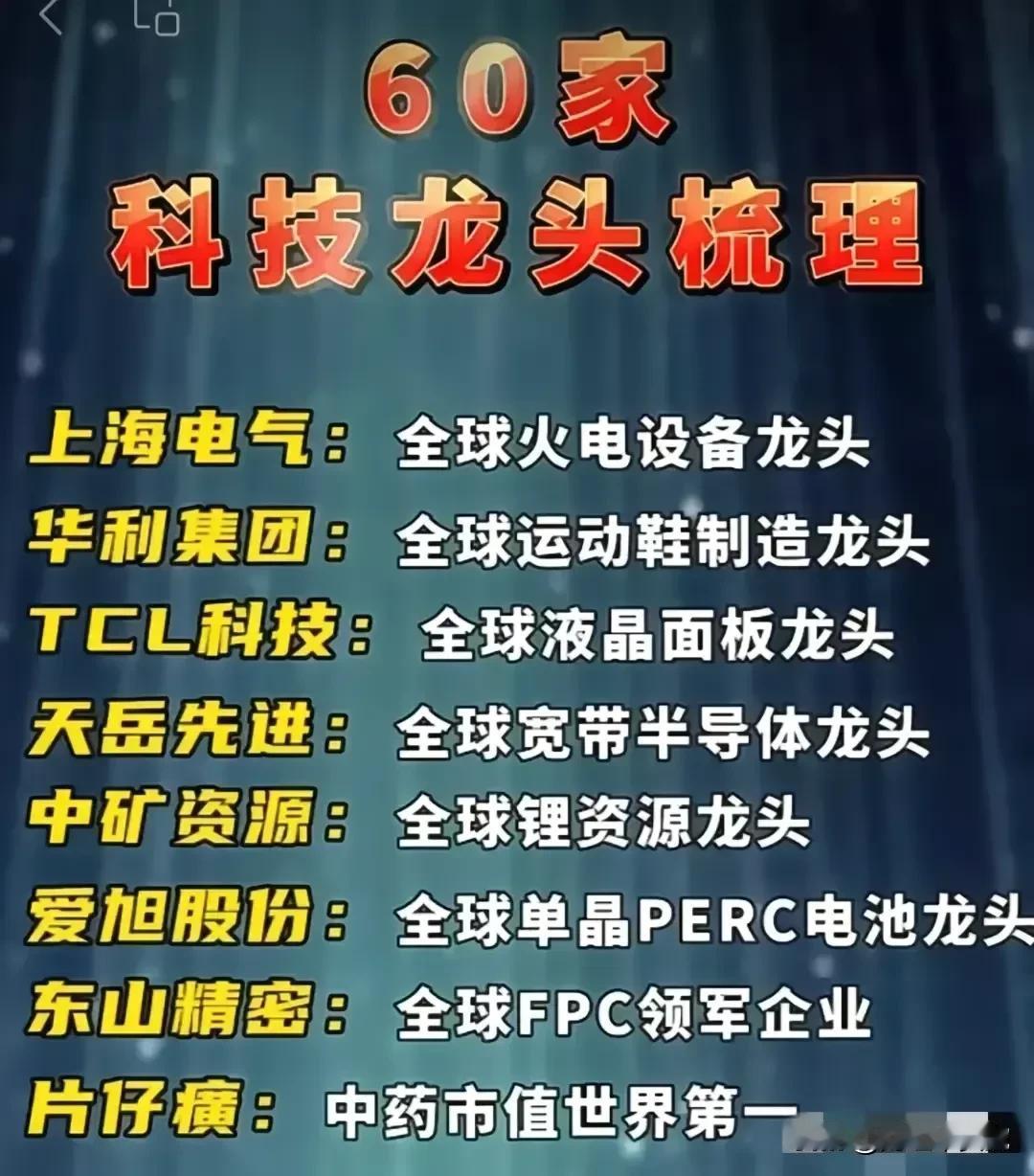 顶尖科技龙头，全球级60家科技龙头盘点！
半导体行业顶尖科技龙头：天岳先进（宽带