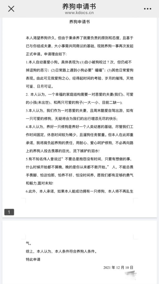 翻到那些年我为养狗做出的努力😭