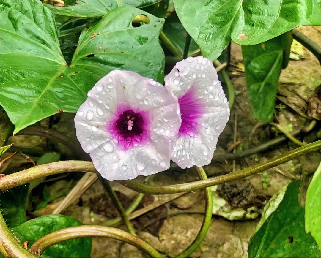 人到中年，赚钱不易，这4笔冤枉钱千万别花！

盲目跟风投资，像比特币那样不懂就投