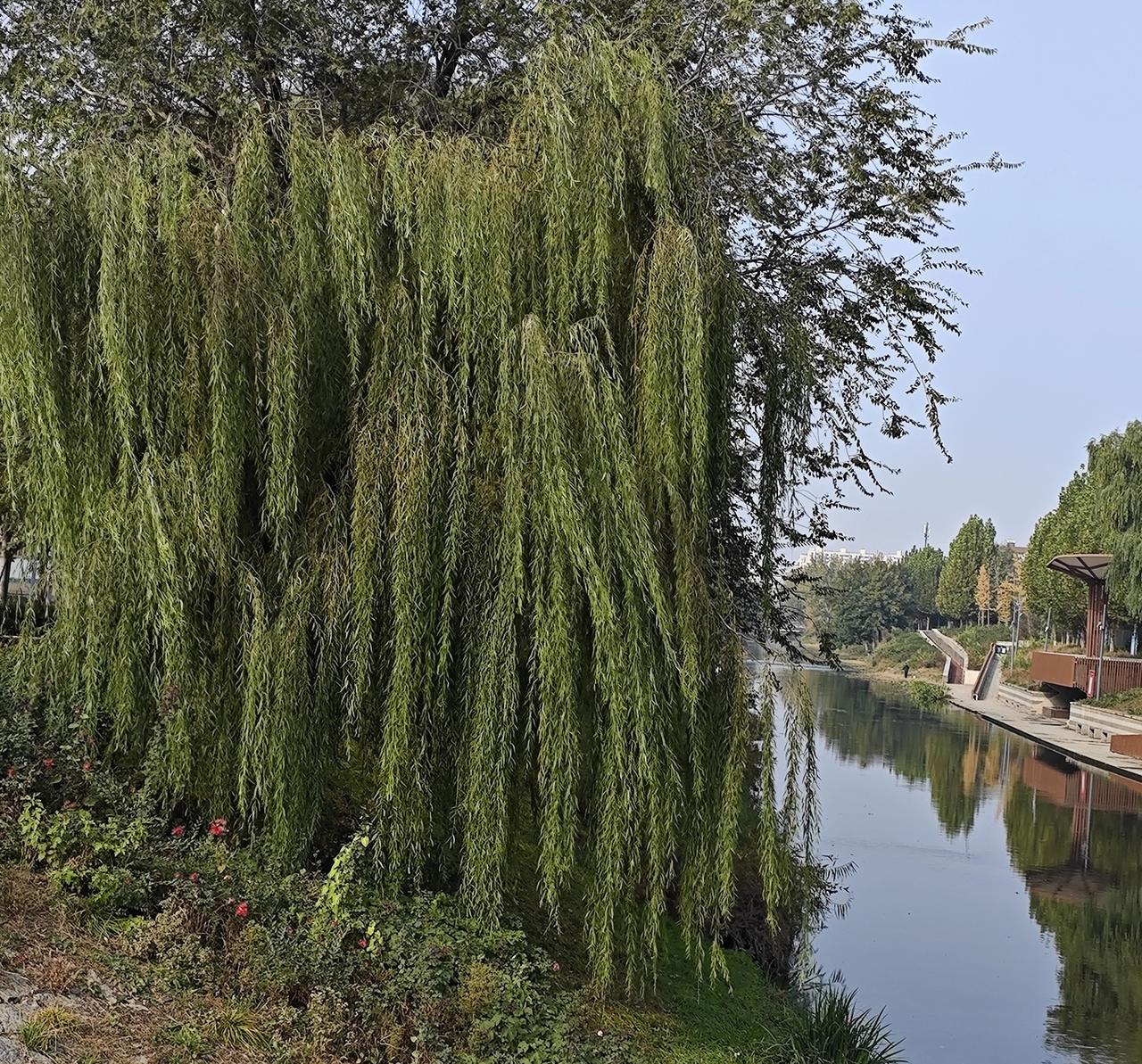 中年人的压力，核心是“上有老下有小+中间扛全家”。上要赡养体弱老人，看病陪护事事