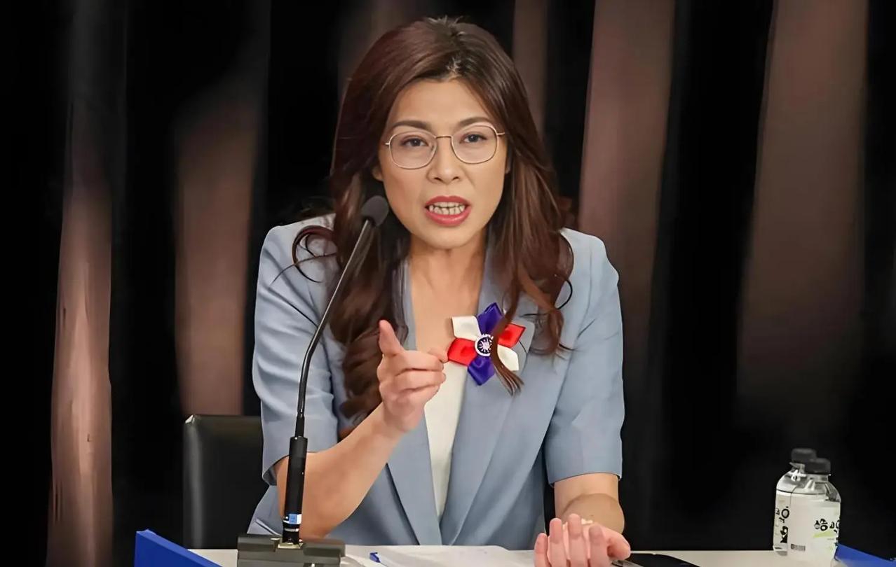 郑丽文以强势姿态访美，可能带来哪些政治影响？

郑丽文高调赴美喊话想见特朗普，前