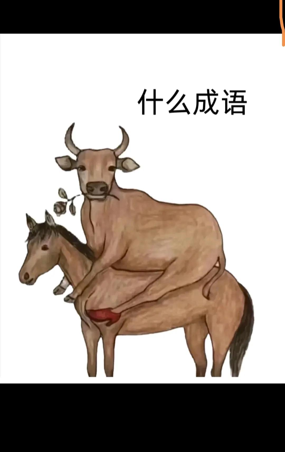 猜成语！！！！！