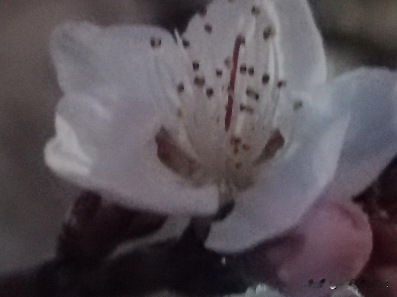 春的心愿
 
风把云揉软
我把心事轻放
 
愿枝头的绿
漫过所有荒凉
愿人间的暖