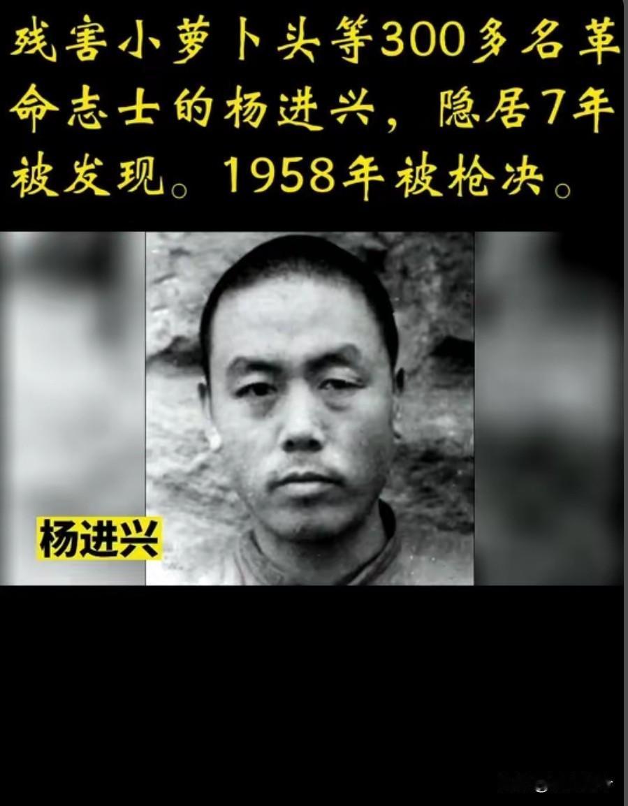 1955年，农民杨大发和妻子吵架，争吵中，妻子突然大喊：“你再说，我把你的黑历史
