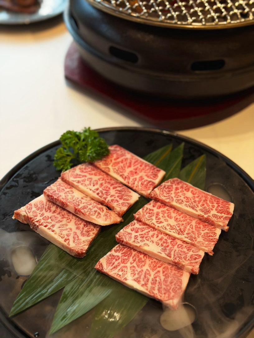 今晚很开心！明天肉饺香格里拉！