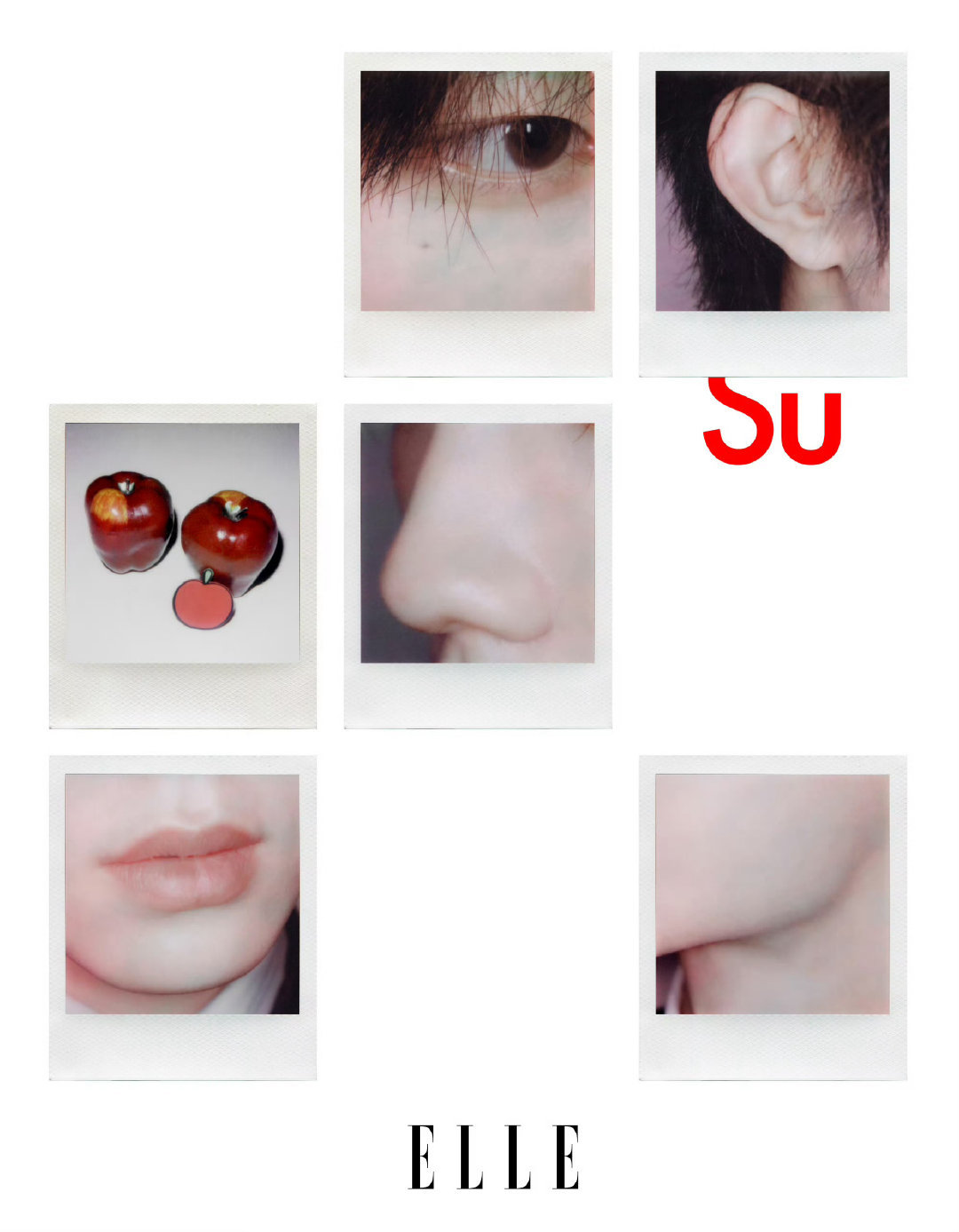 无法不期待的登陆少年ELLE封面，首登五大女刊，燥候揭晓👏登陆少年 ELLE