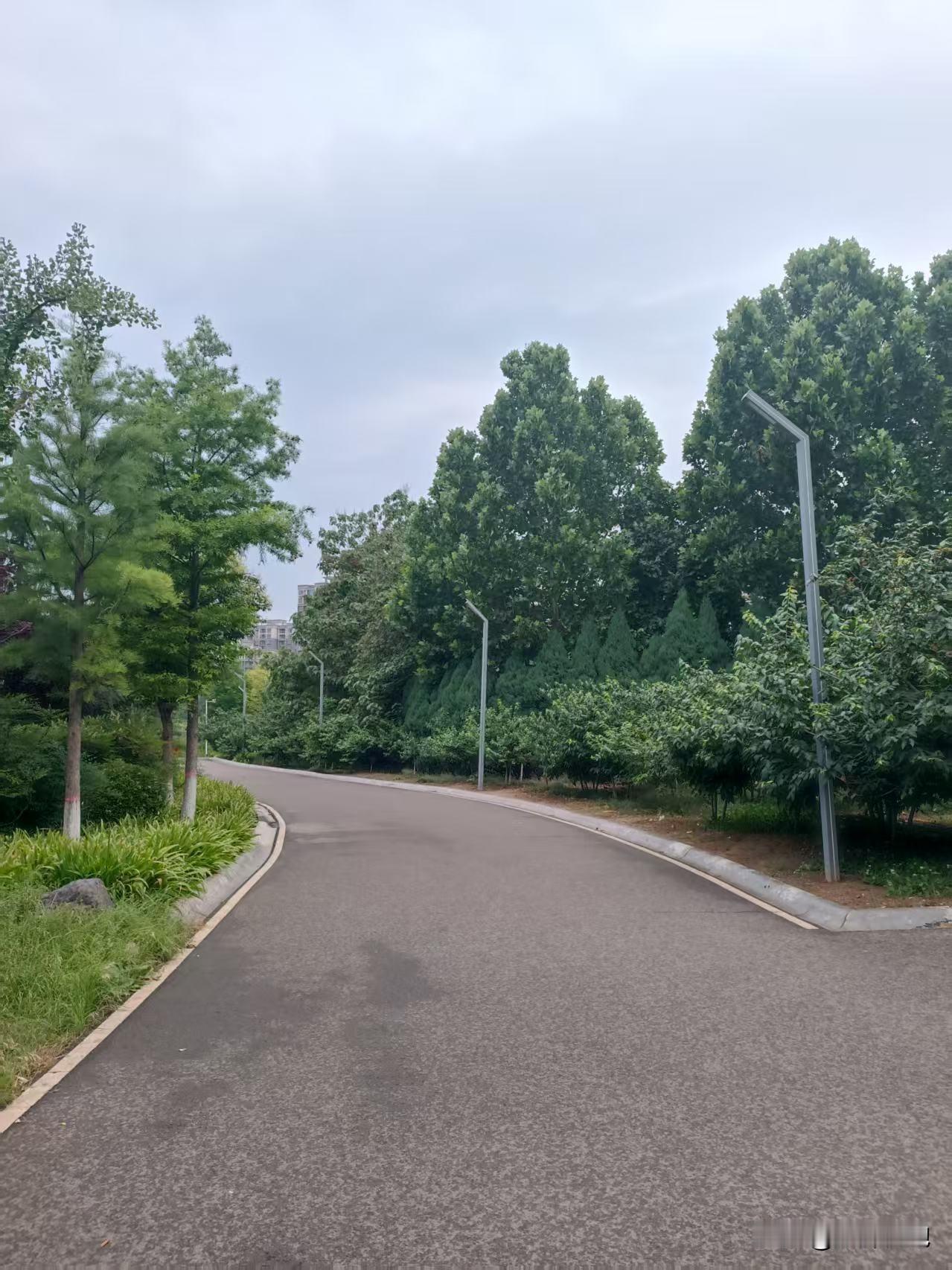 父辈们成长的年代，人生轨迹相对单一，在他们的认知里，读书成才、成家立业、生儿育女