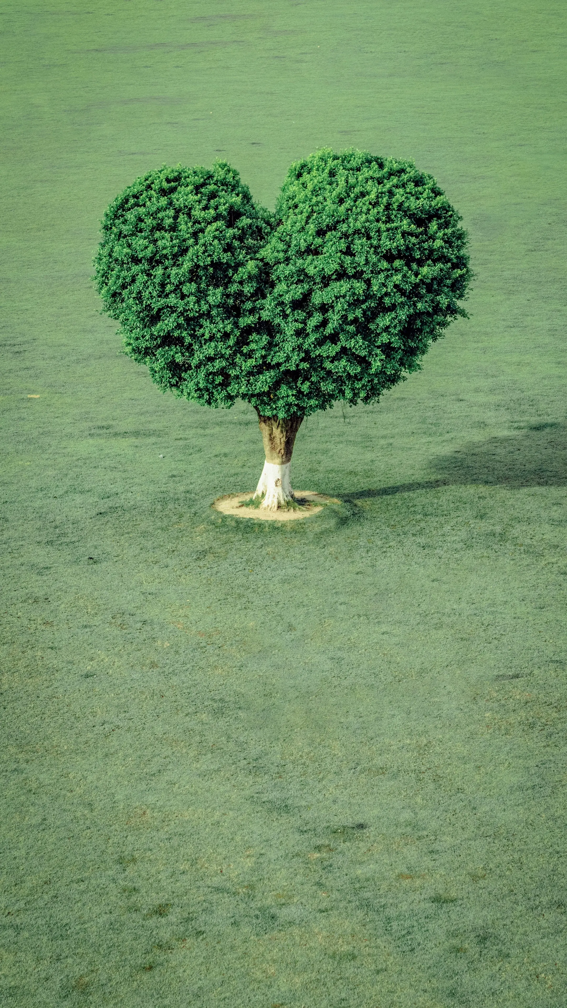 来珠海拍照，不可错过的宝藏地方。珠海游玩攻略  🌅 市区必打卡（1天...