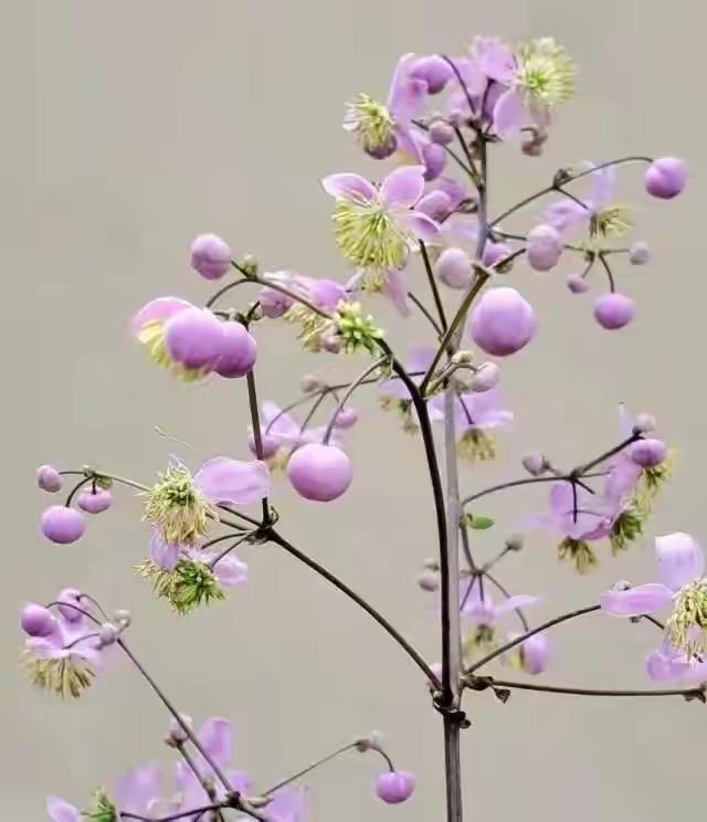 若时光是一卷诗书，岁月就只是一页篇章。
笔墨丹青，山水清音，历史的长河中，都是一