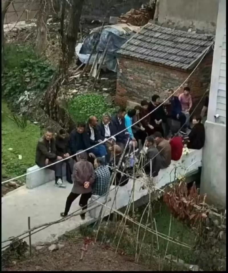 
村口这阵仗，过年回老家你敢从这里过吗？我隔着屏幕看都害怕😨#＃搞笑一刻＃#