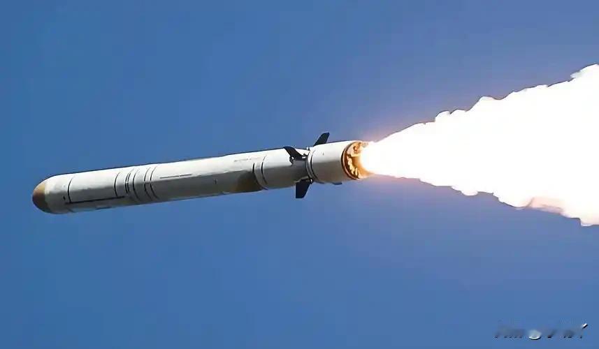 美国总统特朗普10月27日批评俄罗斯试射“海燕”核动力巡航导弹“不合适”，称俄方