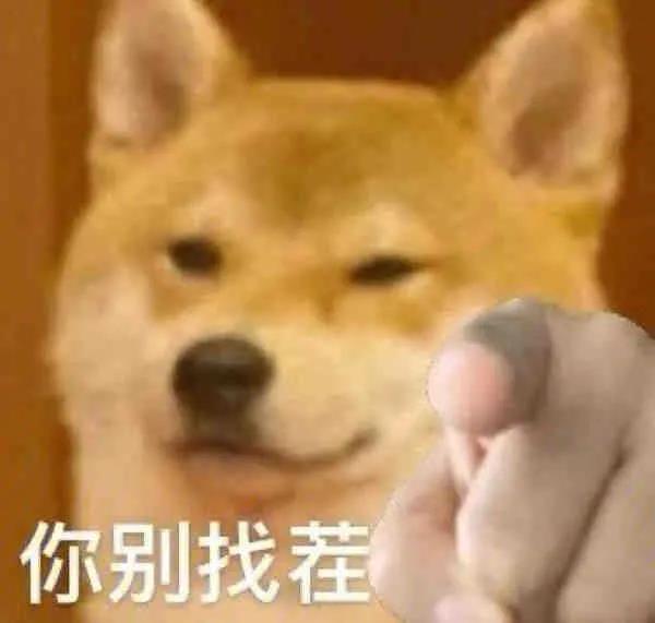 存点表情包