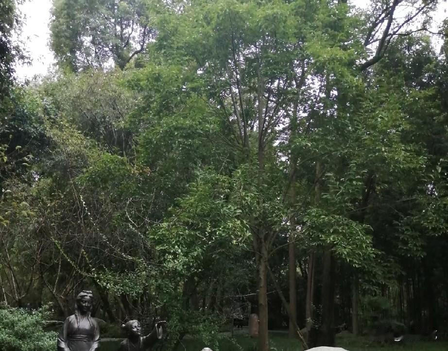 去过成都的人，不知道有没有发现，别的城市绿化最好、风景最美的地方，都在高新区，而