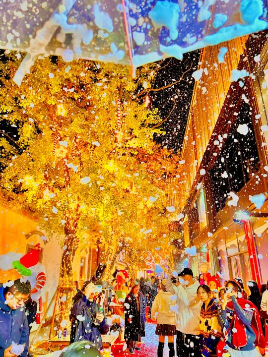 live实况🎄今天南京大雪！❄️太太太浪漫了