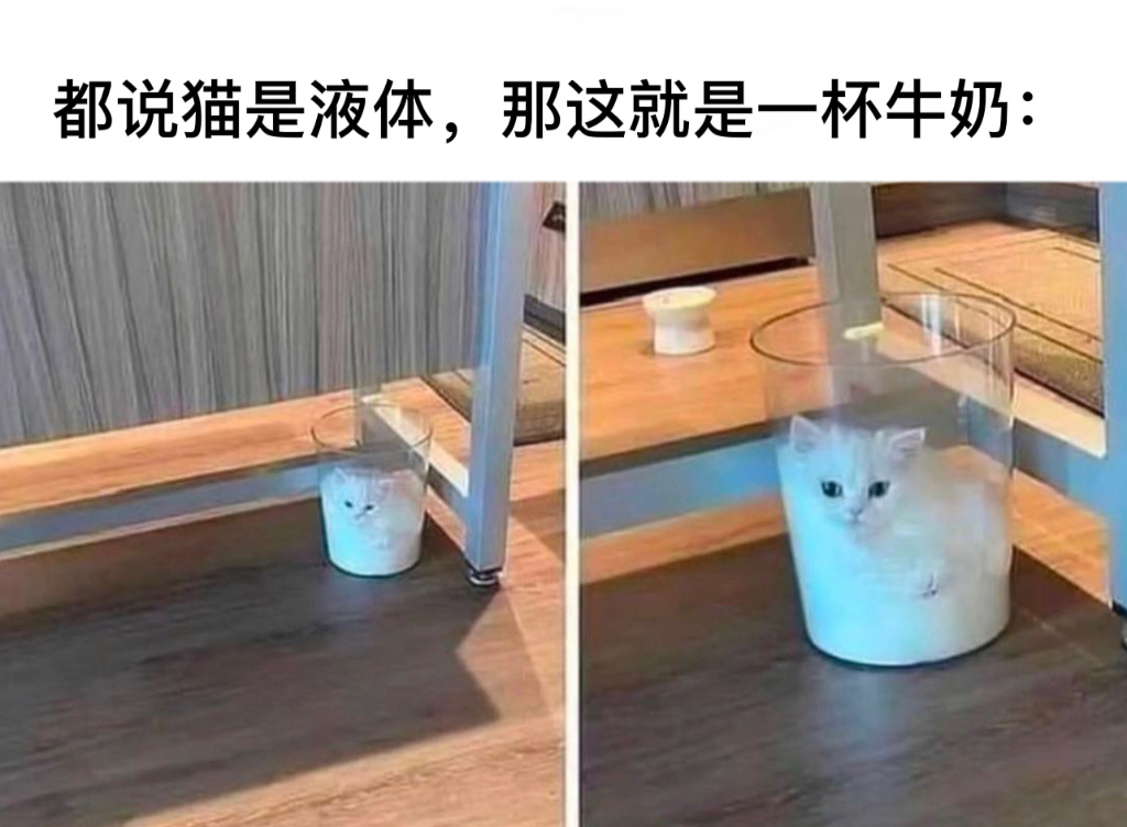 我爱喝牛奶#今日memes# //#v笑年度大赏# ​​​