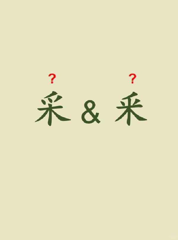今天来学习——采&釆