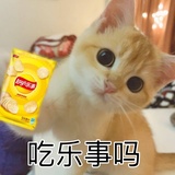 傅昌热读体育
