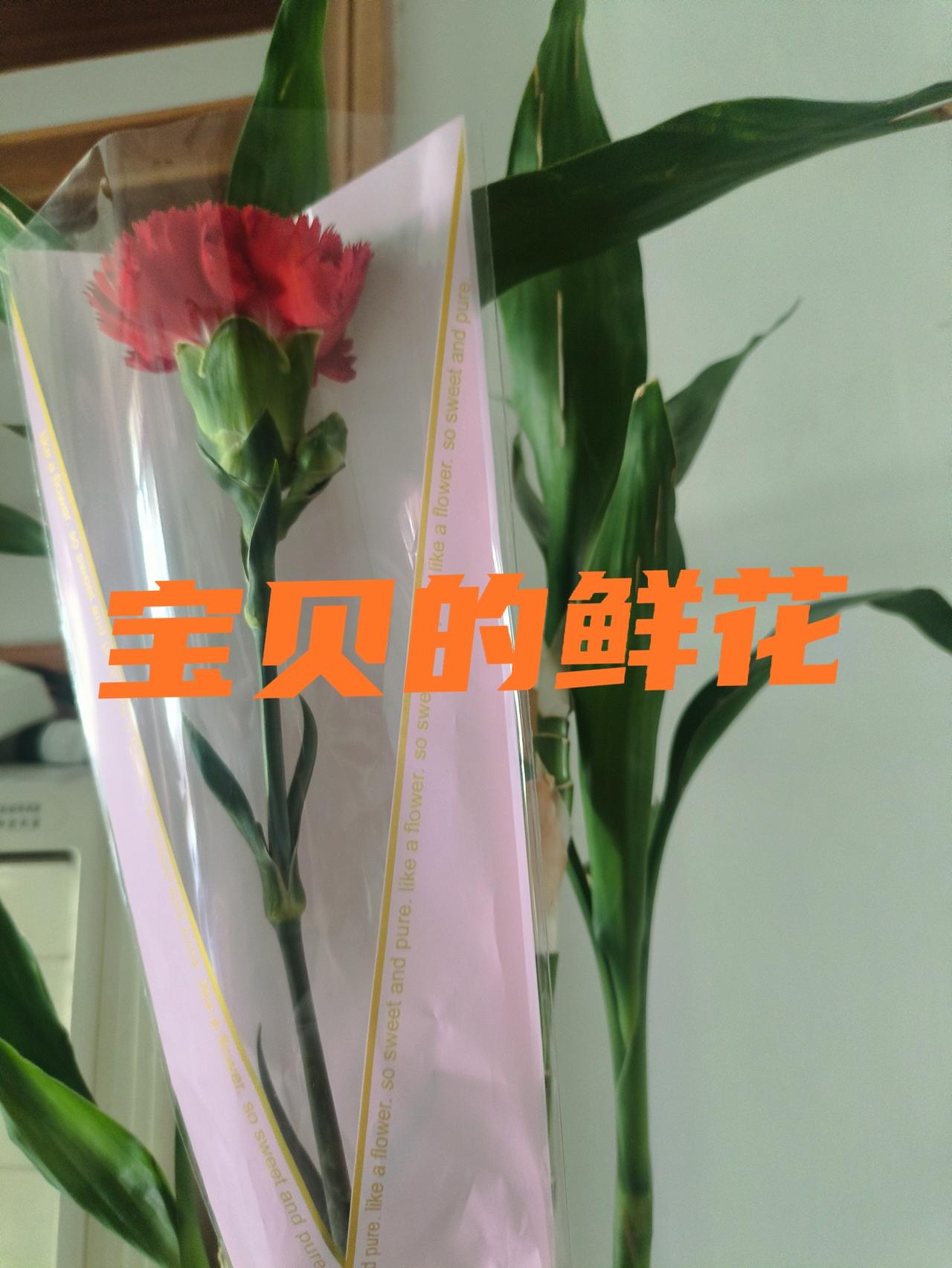 母亲节！今天，我收到七岁半小宝贝送给我的一朵鲜花，

母亲节快乐！这是今日最悦耳